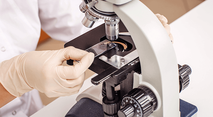 A microscope being used to perform blood testing for pets in Sugar Land, Texas