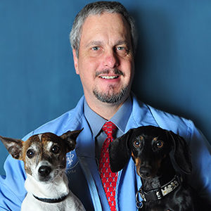 Our Doctors at Oyster Creek Animal Hospital | Sugar Land