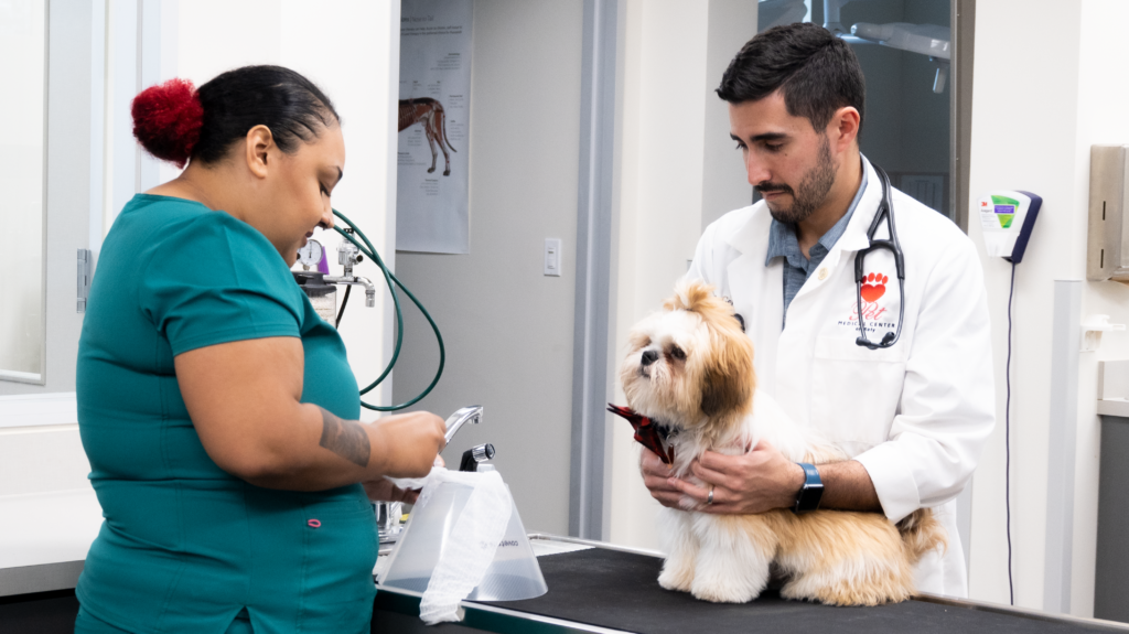 Pet Emergency Services Oyster Creek Animal Hospital TX