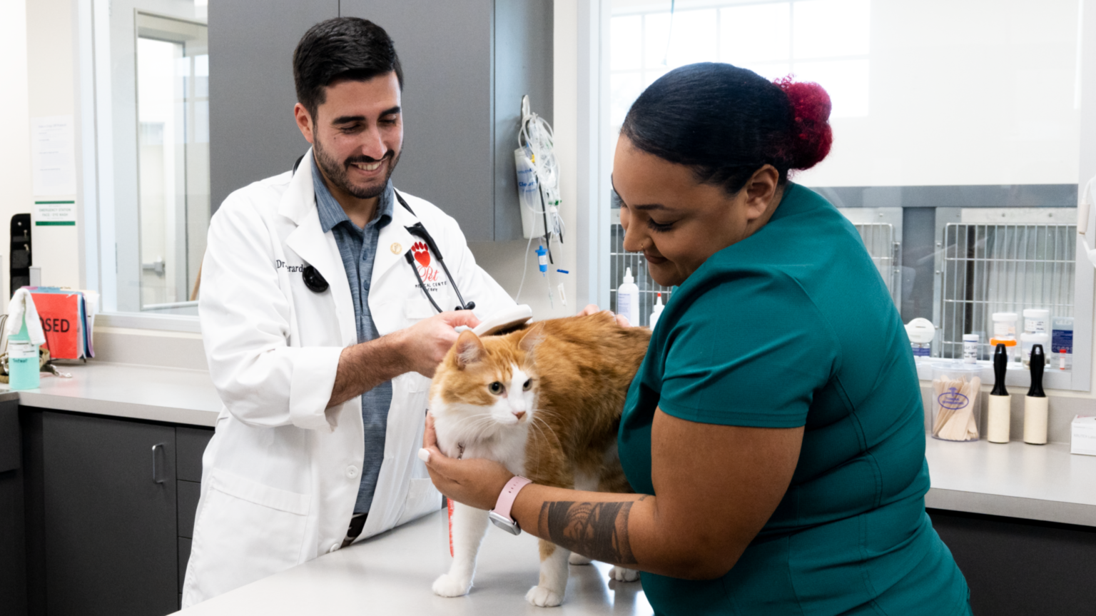 Pet Microchipping Oyster Creek Animal Hospital Texas