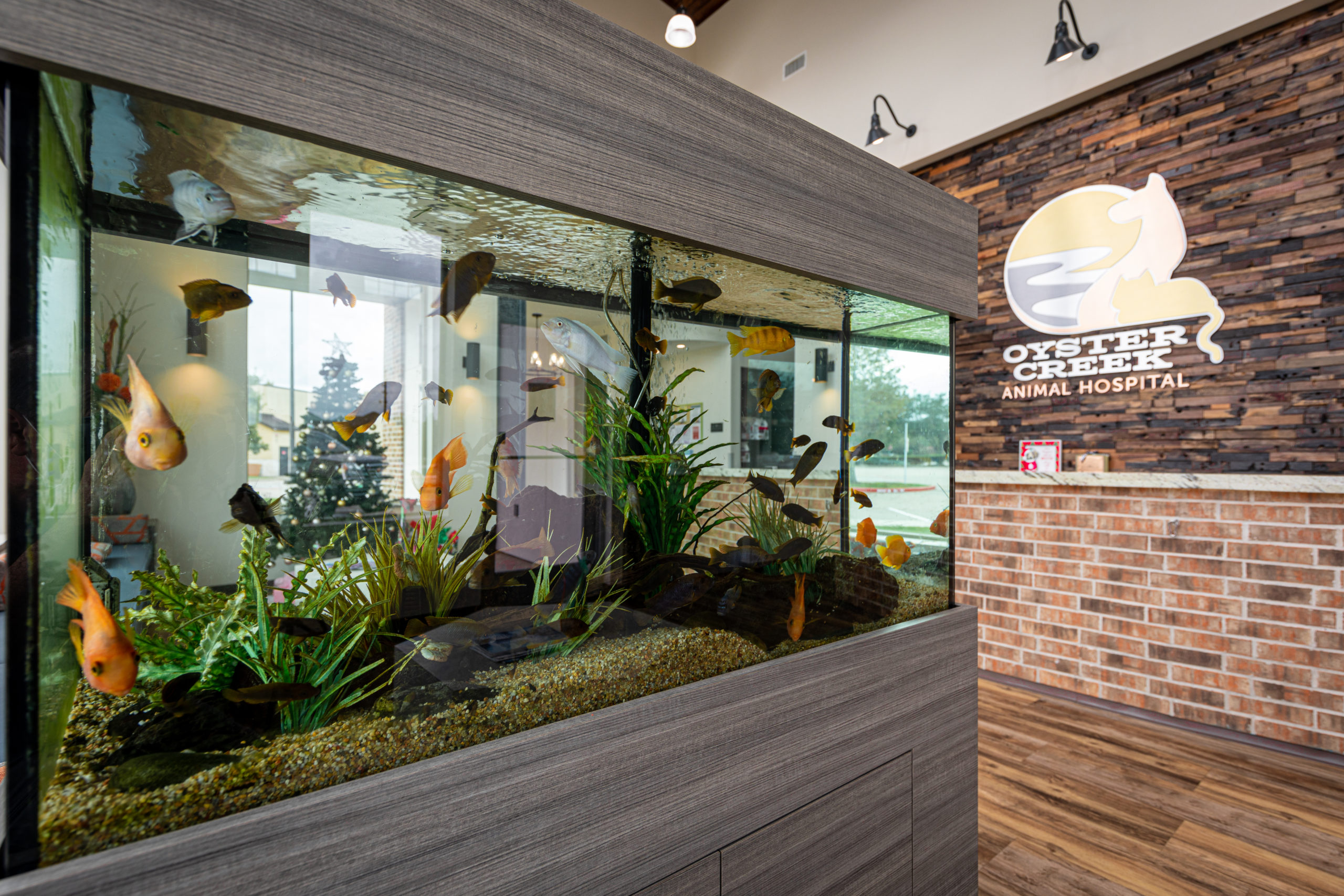 Virtual Tour of Oyster Creek Animal Hospital Sugar Land