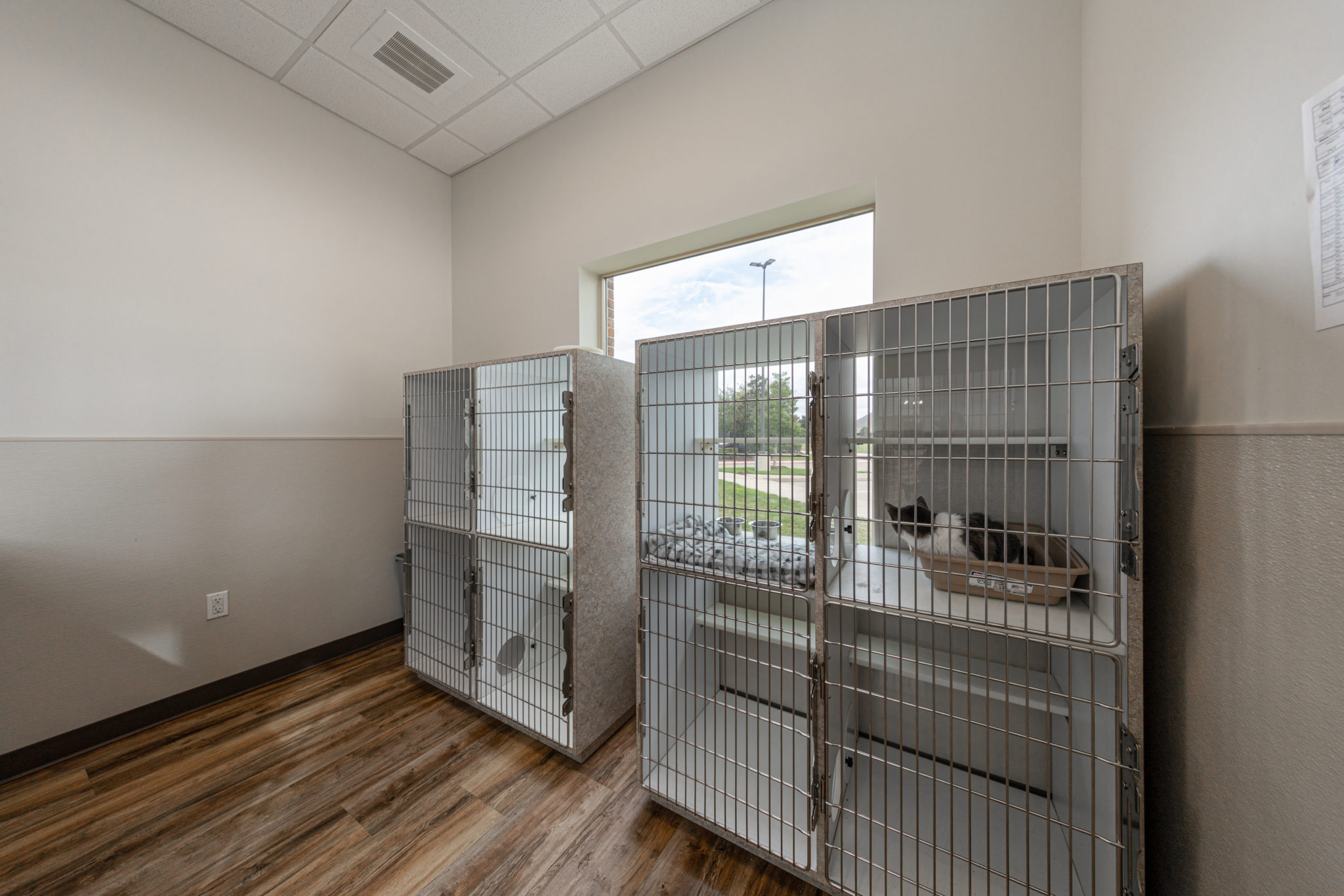 Virtual Tour of Oyster Creek Animal Hospital Sugar Land