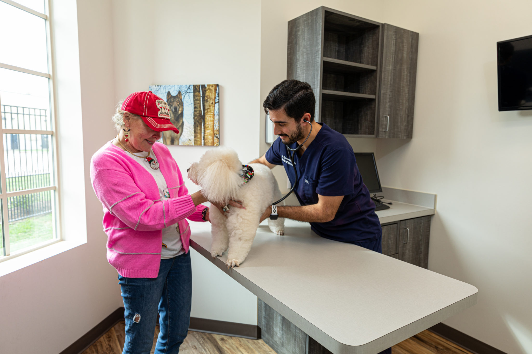 Virtual Tour of Oyster Creek Animal Hospital Sugar Land