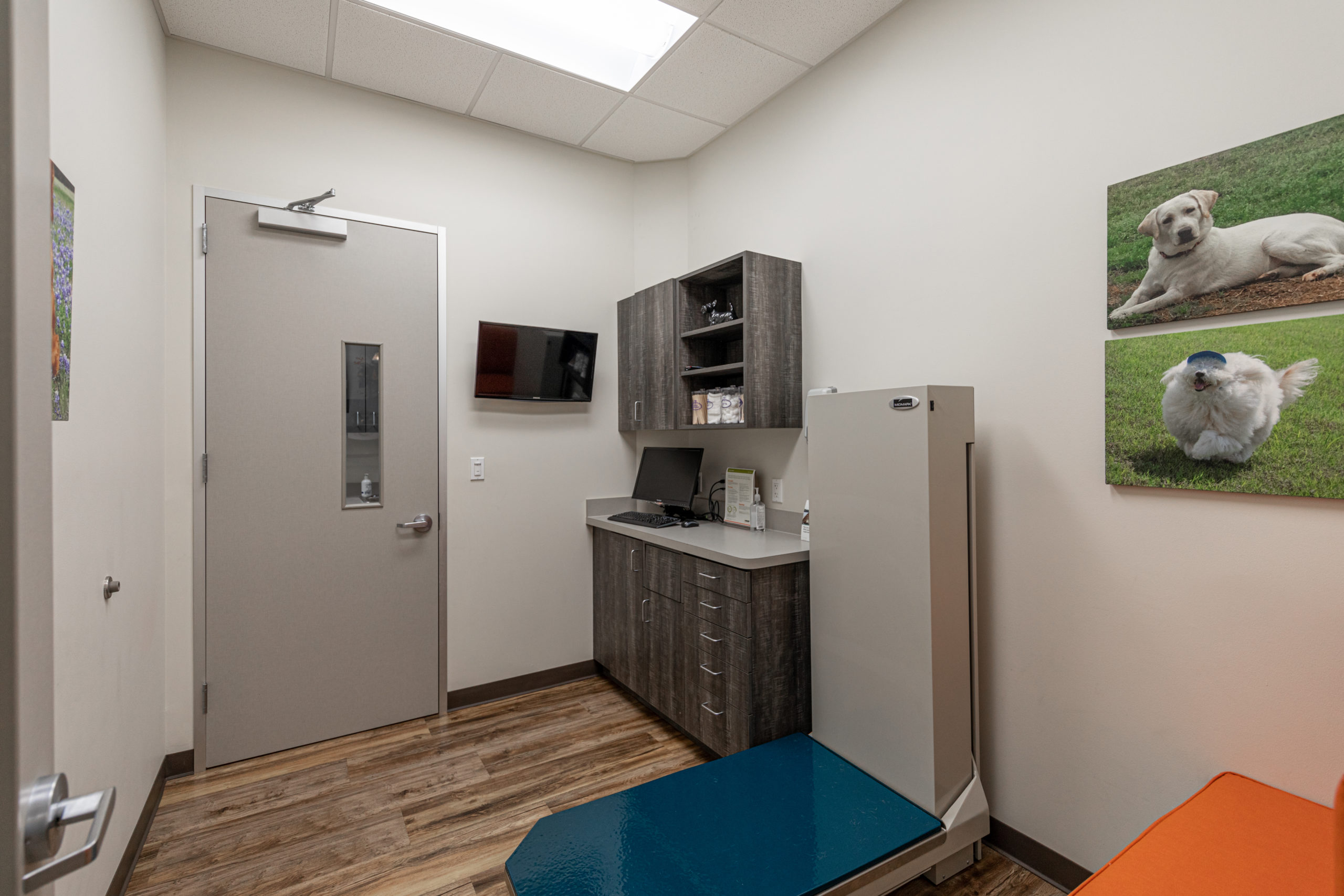 Virtual Tour of Oyster Creek Animal Hospital Sugar Land