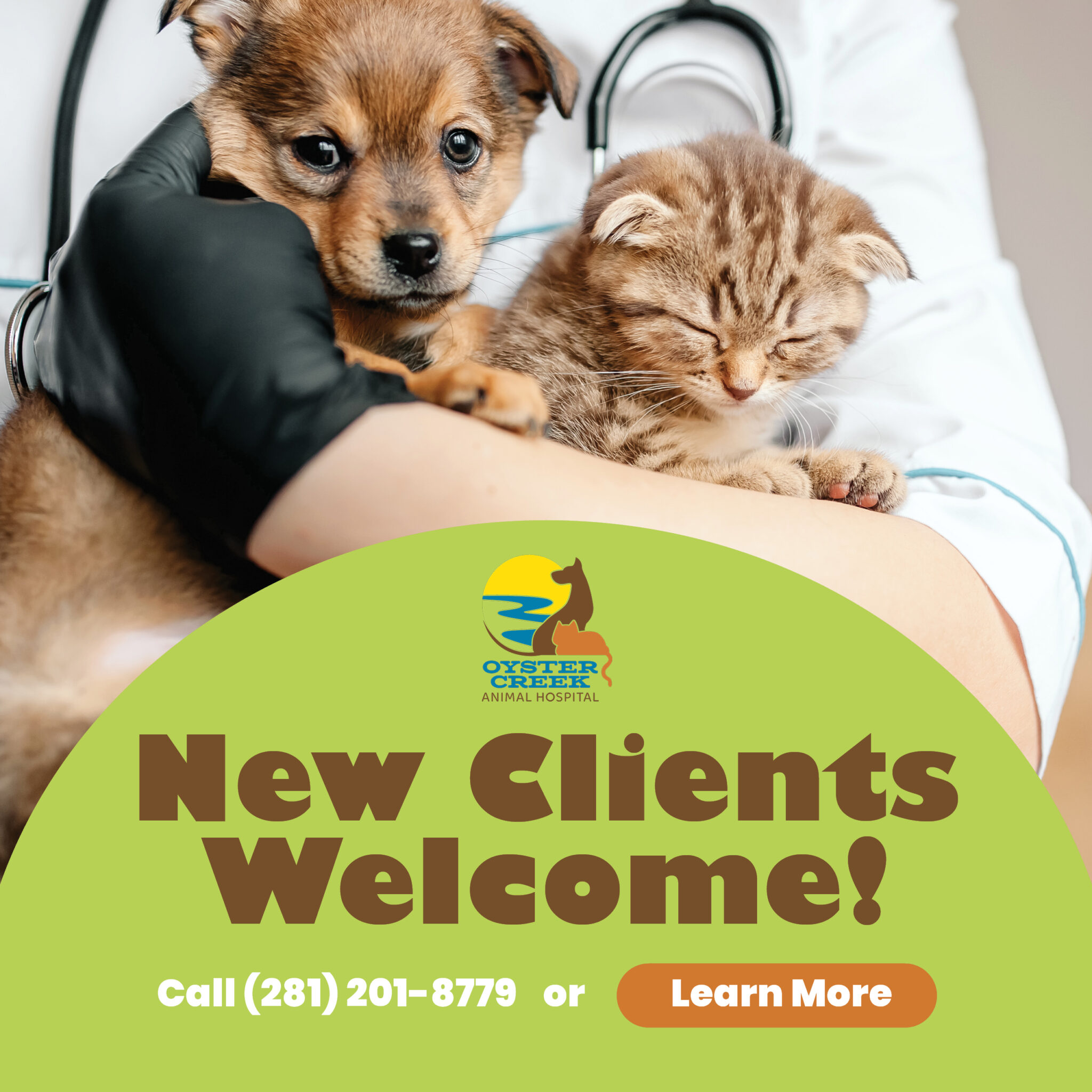 Animal Hospital in Sugar Land, Texas Oyster Creek